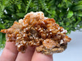 Red Vanadinite on Barite from Marocco,crystal minerals Speciment cluster Vanadinite crystal Vanadinite Geology Vanadinite cluster minerals