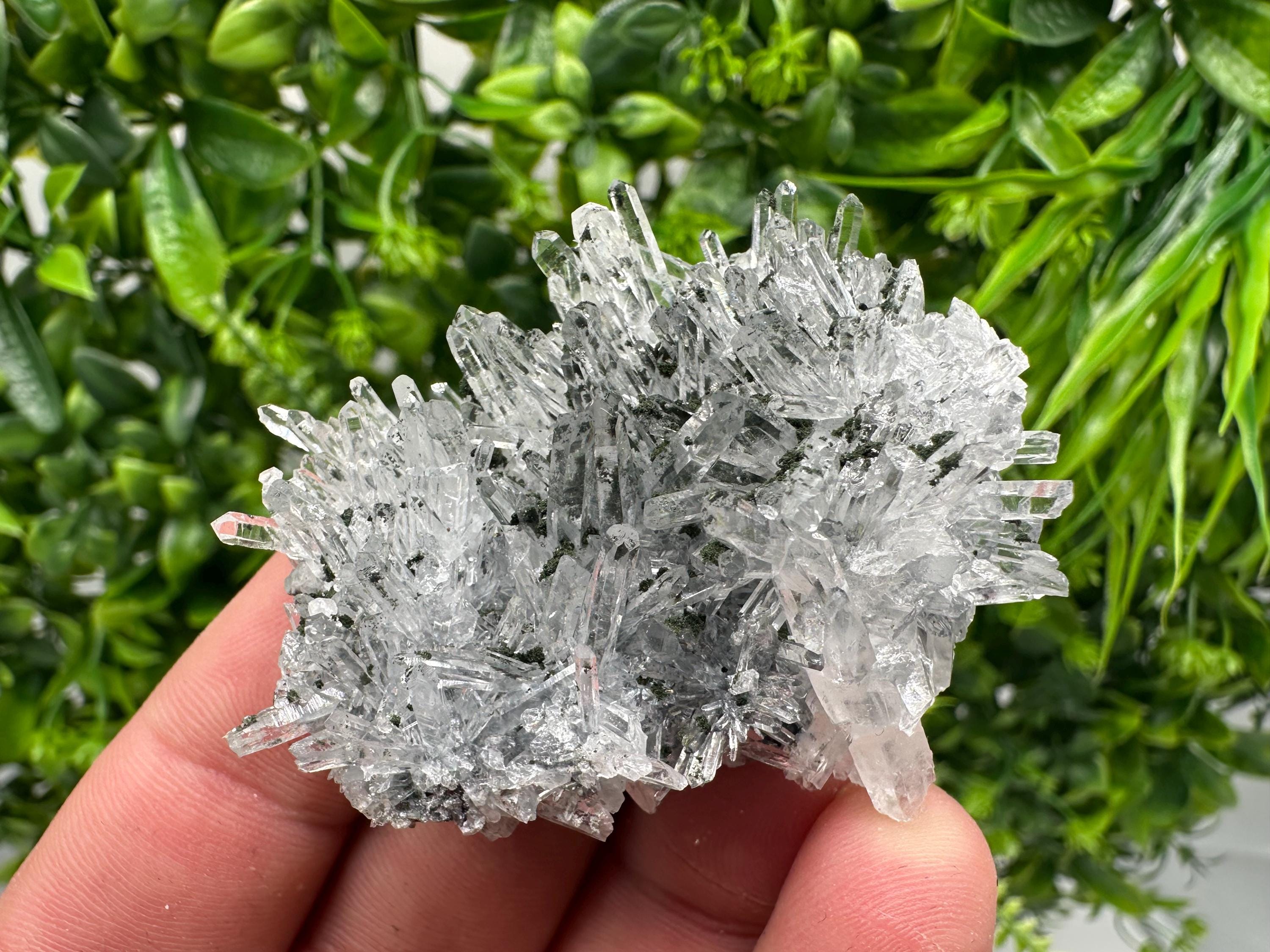 Chlorite Quartz Crystal Cluster - Borieva Mine, Bulgaria