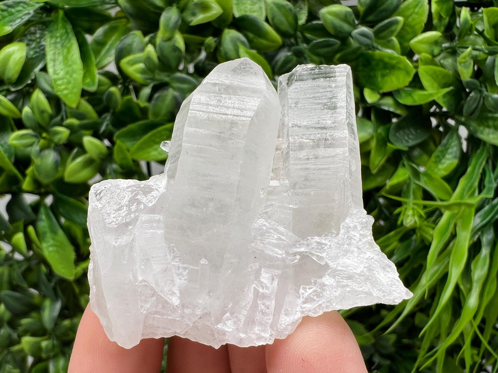 Wonderful Transparent Quartz on Chlorite Matrix,From Borieva mine,Madan,Bulgaria,Quartz,Quartz crystal,mineral specimen,collection quartz