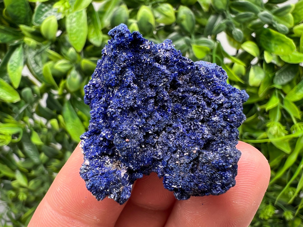 Crystallized Azurite-Kerrouchen,Morocco-Blue Azurite Specimen-High Quality Blue Azurite-Azurite Mineral Specimen, gemmy,lustrous of Azurite