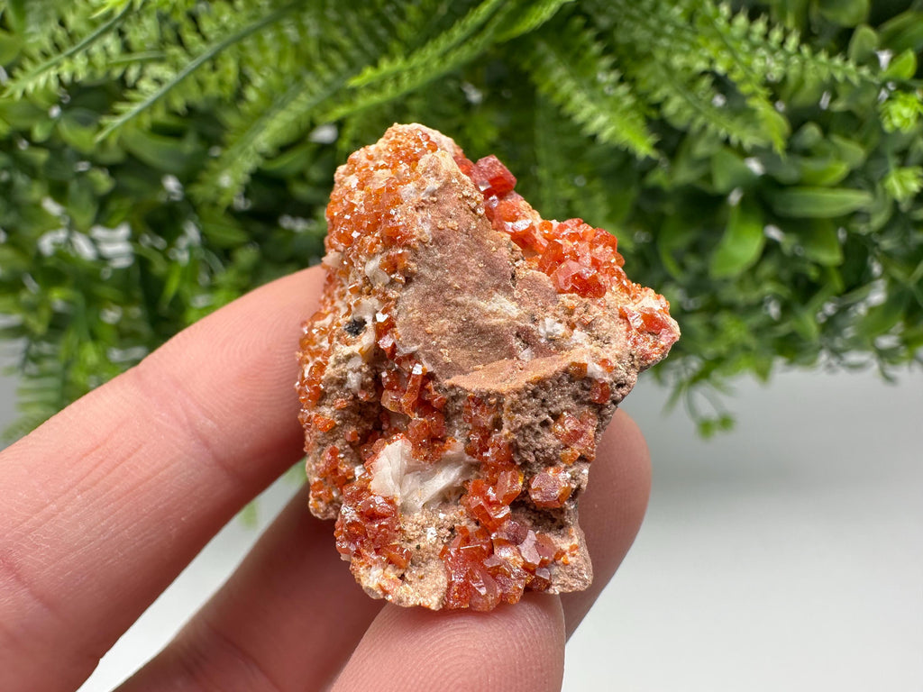 Red Vanadinite on Matrix from Marocco,crystal minerals Speciment cluster Vanadinite crystal Vanadinite Geology Vanadinite cluster minerals