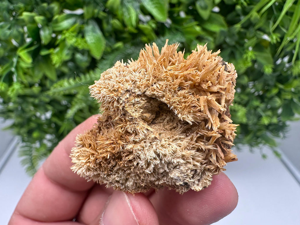 Rare Green/Yellow Pyromorphite with Hematite on Quartz - Madjarovo Mine, Bulgaria