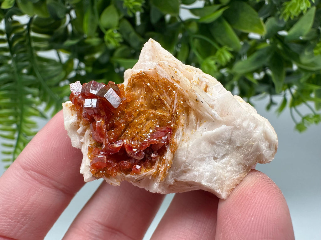 Red Vanadinite on Barite from Marocco,crystal minerals Speciment cluster Vanadinite crystal Vanadinite Geology Vanadinite cluster minerals