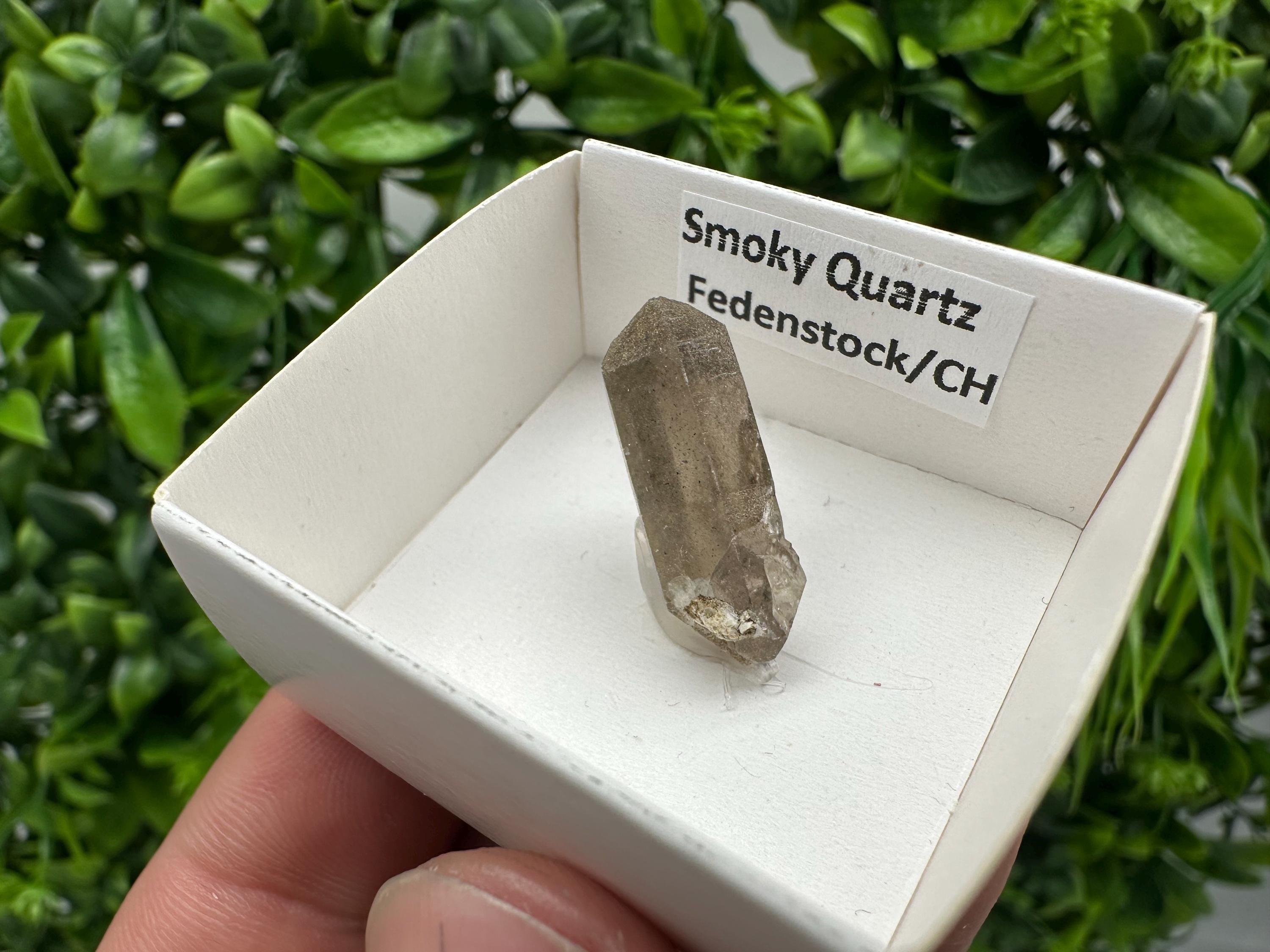 Rare Smoky Quartz Point, Fedenstock Switzerland Mineral Specimen