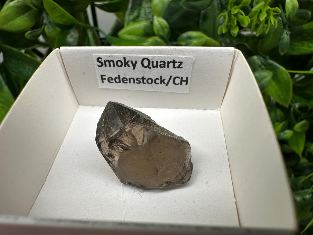 Rare Fedenstock Smoky Quartz Point, Swiss Mineral Specimen (25MM)