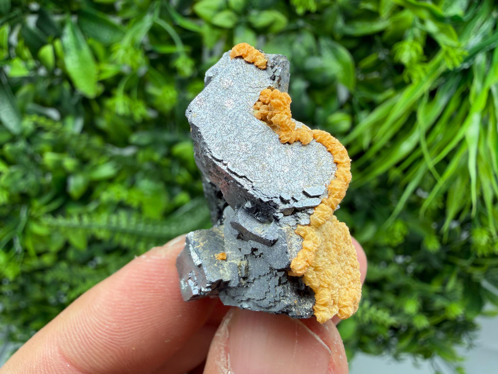 Skeletal Galena with Dolomite: Krushev Dol Mine, Bulgaria