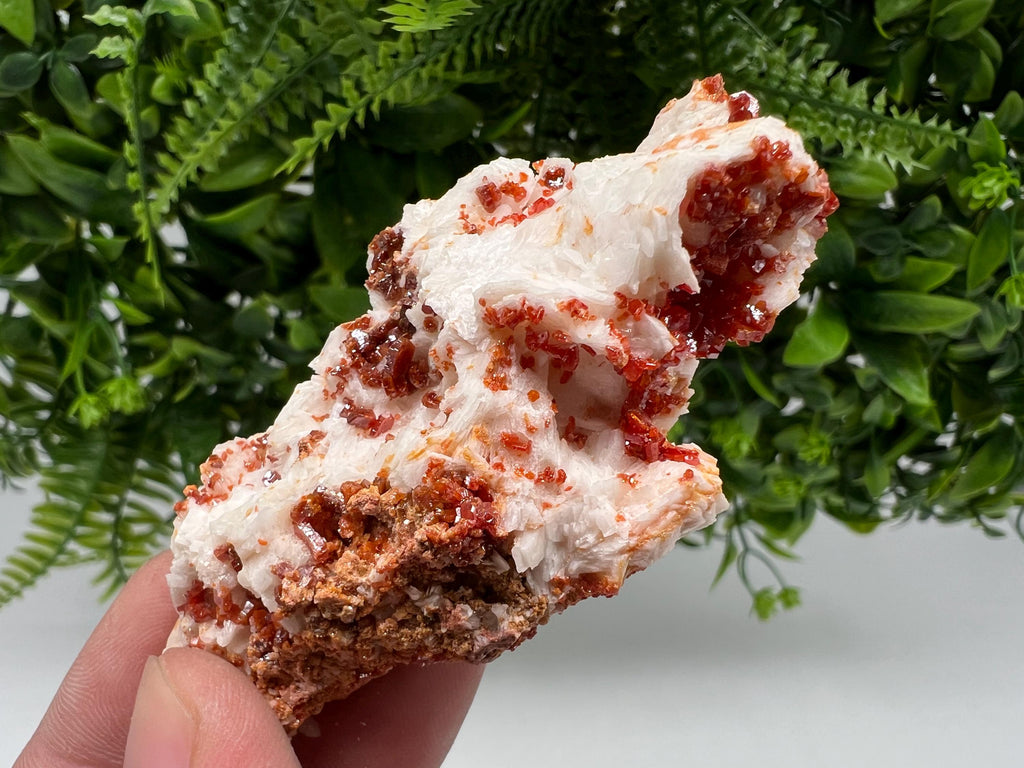 Wonderful Barite whit Vanadinite,Marocco,crystal minerals Speciment cluster Vanadinite crystal Vanadinite Geology Vanadinite cluster mineral