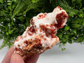 Wonderful Barite whit Vanadinite,Marocco,crystal minerals Speciment cluster Vanadinite crystal Vanadinite Geology Vanadinite cluster mineral