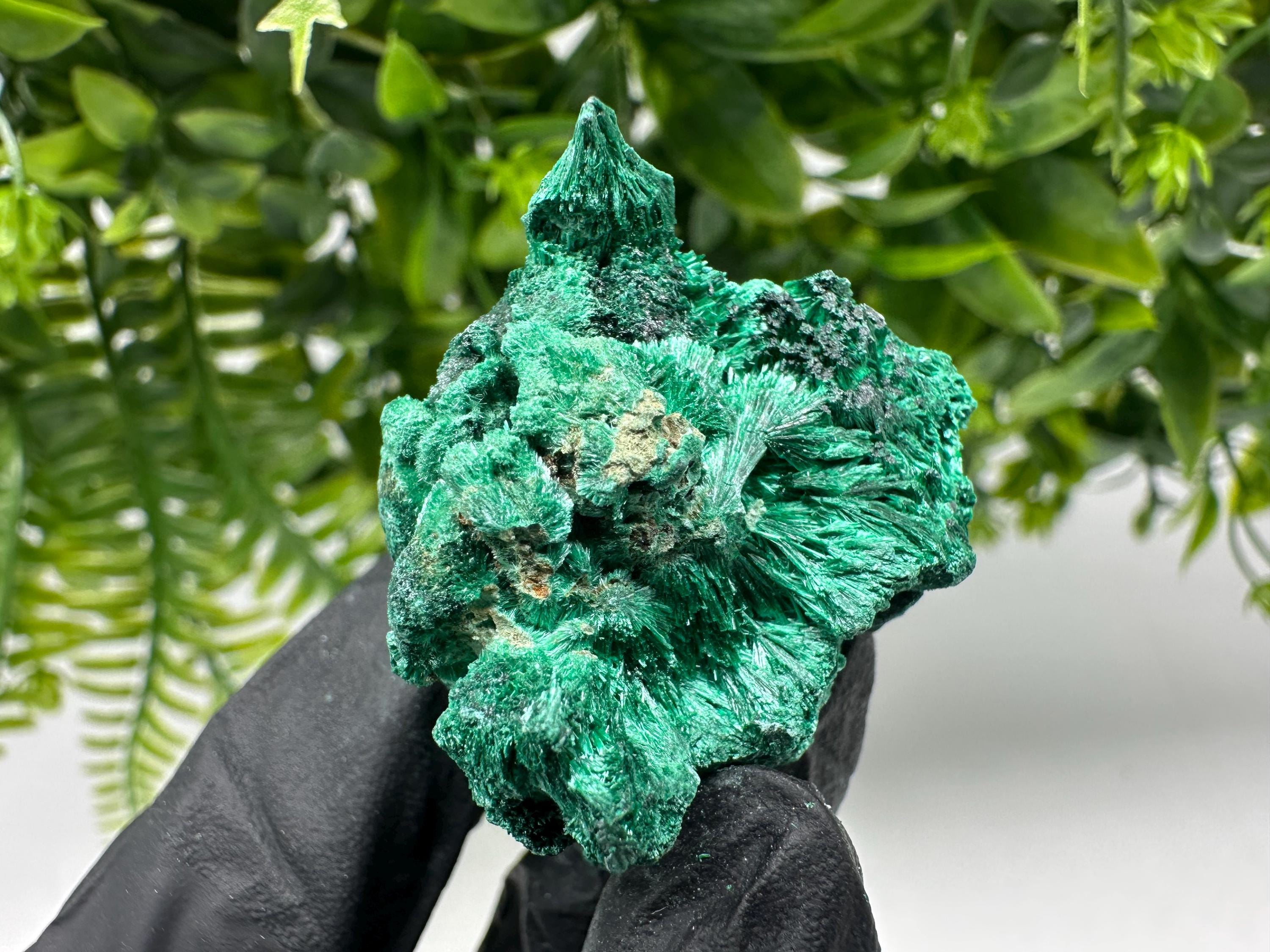 Malachite Crystal from Congo,Minerals,Crystals from Congo,Green Malachite, Malachite,Natural Malachite,Malachite Stone,Chakra, Specimens