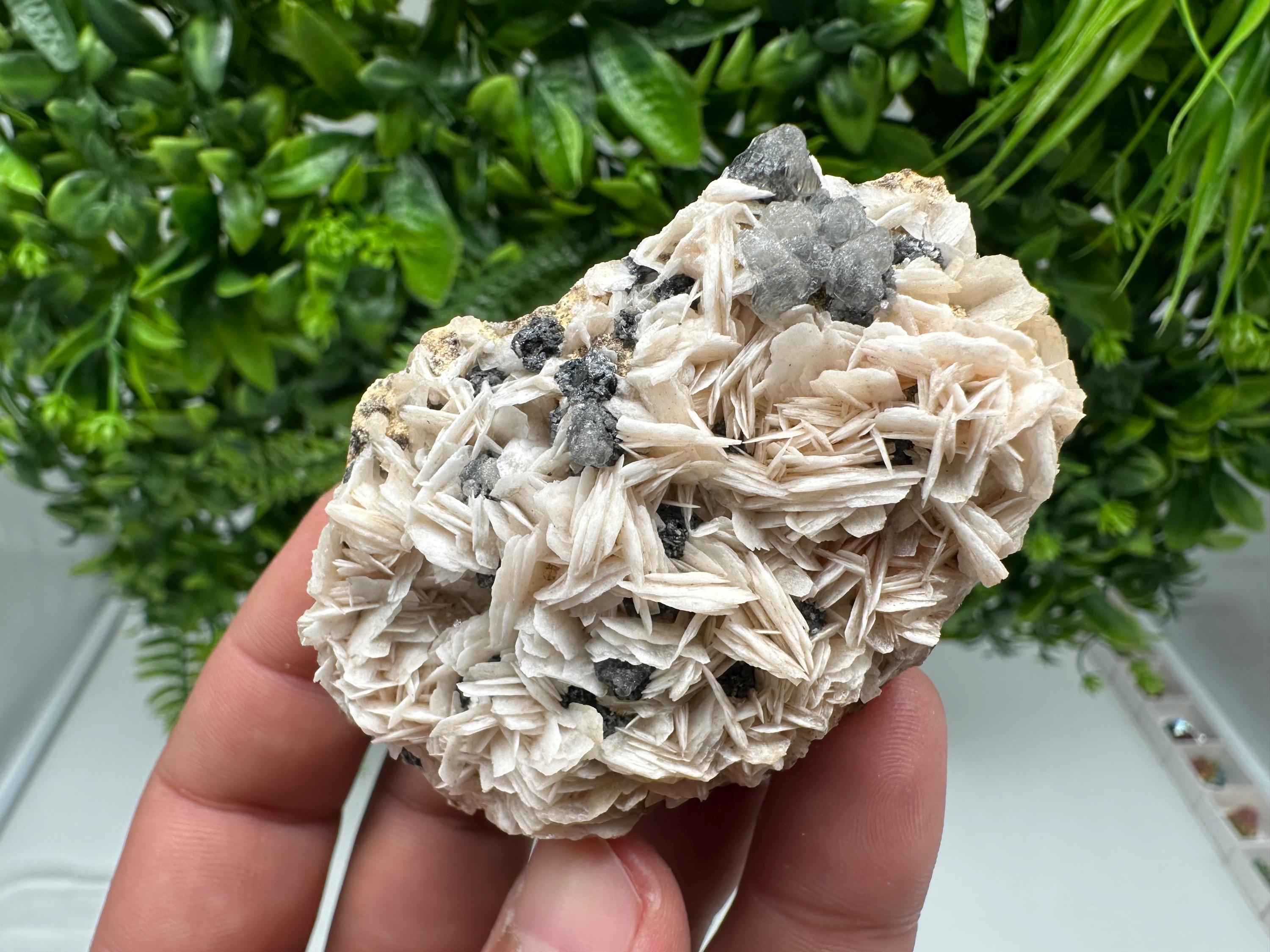 Wonderful Baryte with Cerussite on Galena from Morocco,Crystal, Mineral,Specimen,Cluster,Crystals,Barite Crystal,Cerussite Crystal,Specimen