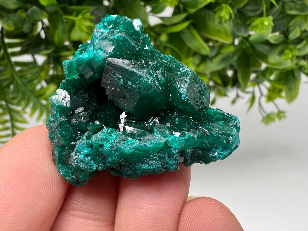 Stunning Green Dioptase from Sanda Hills,Mindouli,Pool Department,Mindouli District,Congo,green Dioptase,Dioptas Crystal,Dioptase collecting