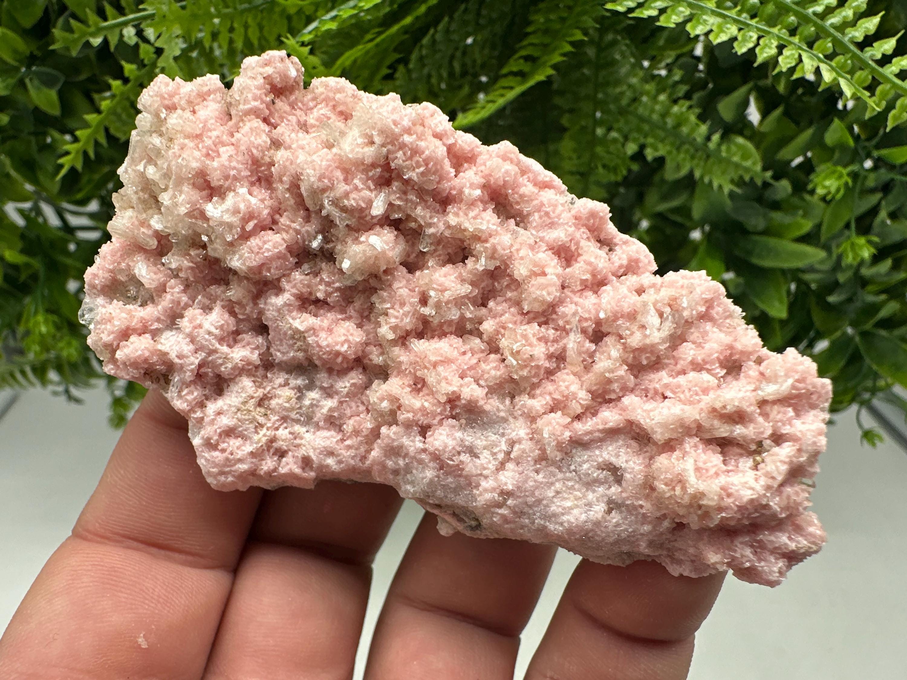 Pink Rhodochrosite Mineral Specimen: Starnica Mine, Bulgaria