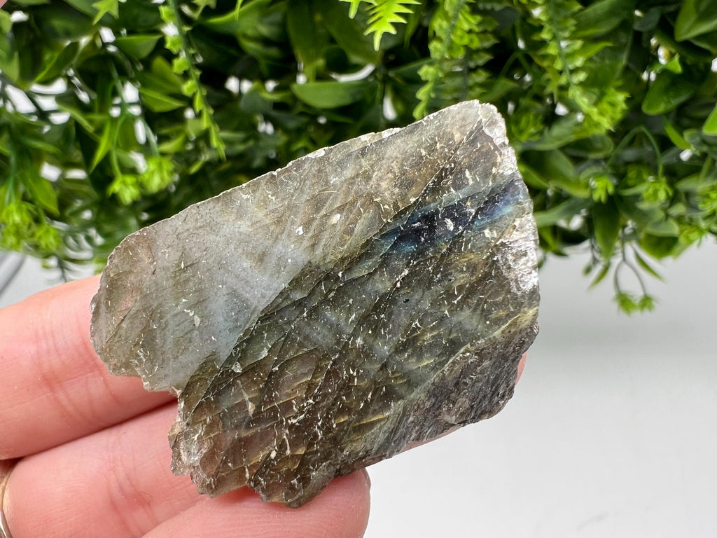 Polished Labradorite Slab: Multifire Crystal Decor - 24 Grams