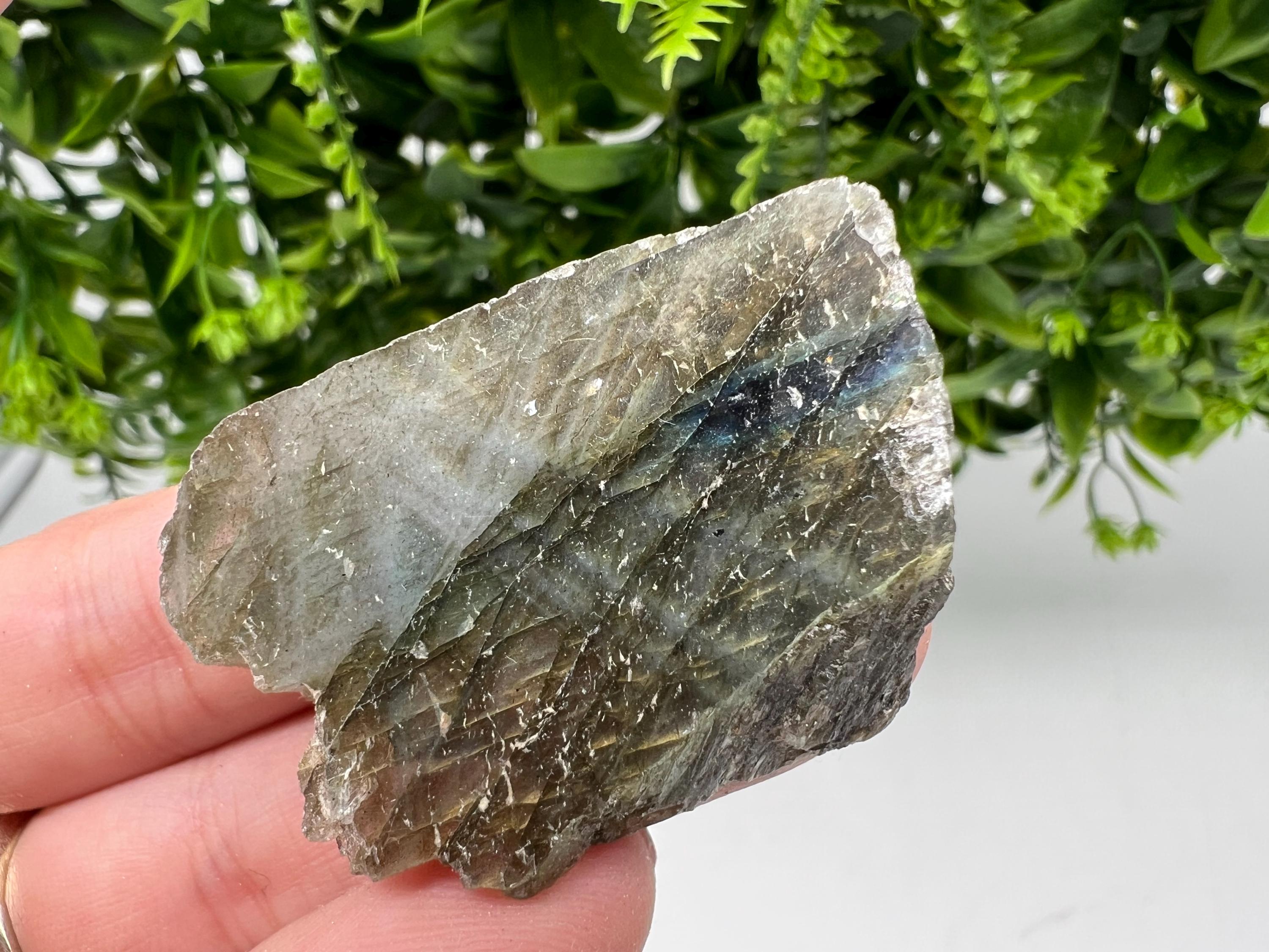 Polished Labradorite Slab: Multifire Crystal Decor - 24 Grams