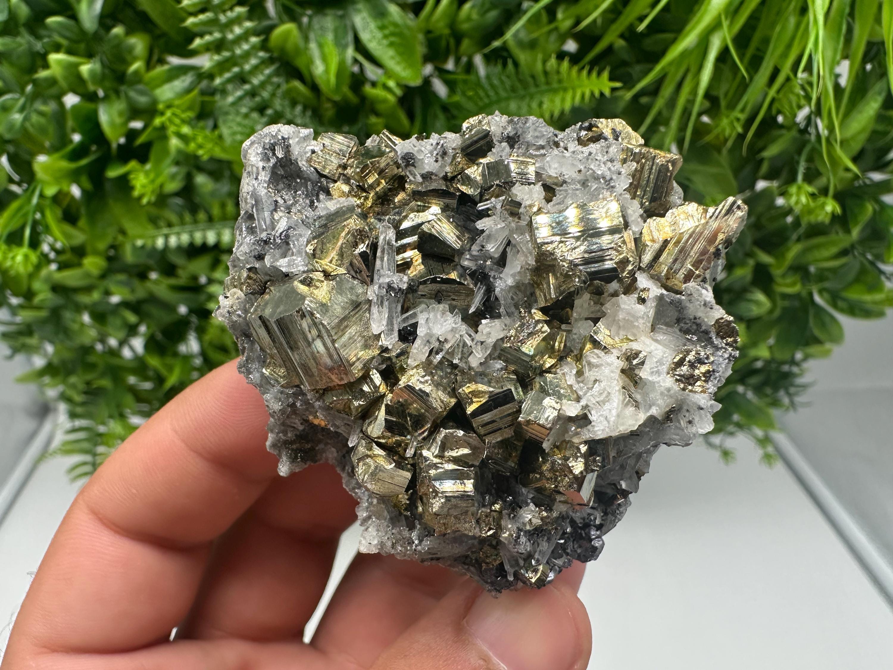 Transparent Quartz whit Rainbow Pyrite Djurcovo Laki Bulgaria natural minerals souvenir crystal stone gift minerals collection rock