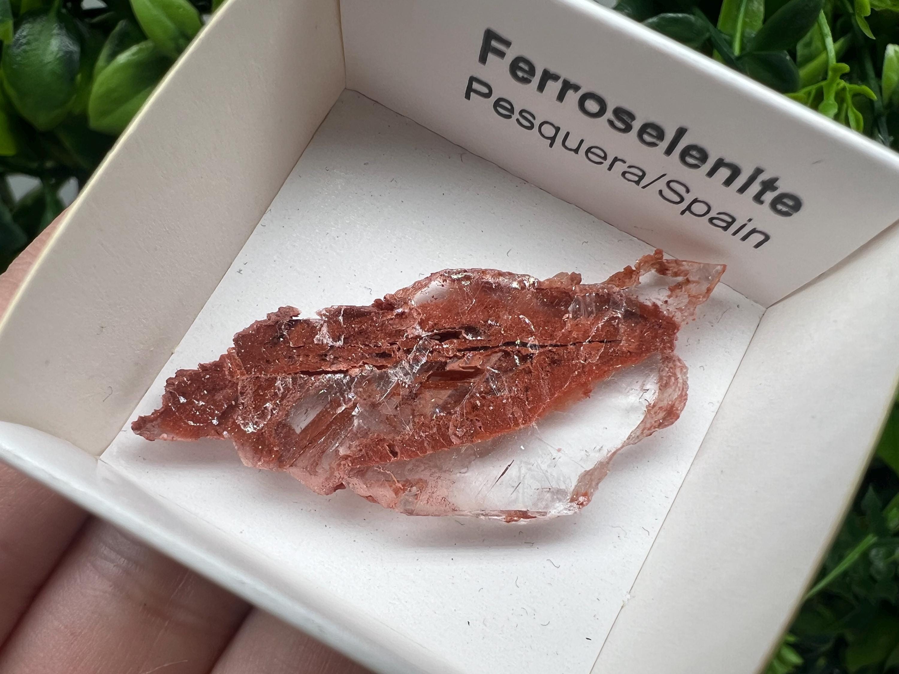 Rare Ferroselenite Specimen: La Pesquera, Spain Mineral (4.5/2.3 cm