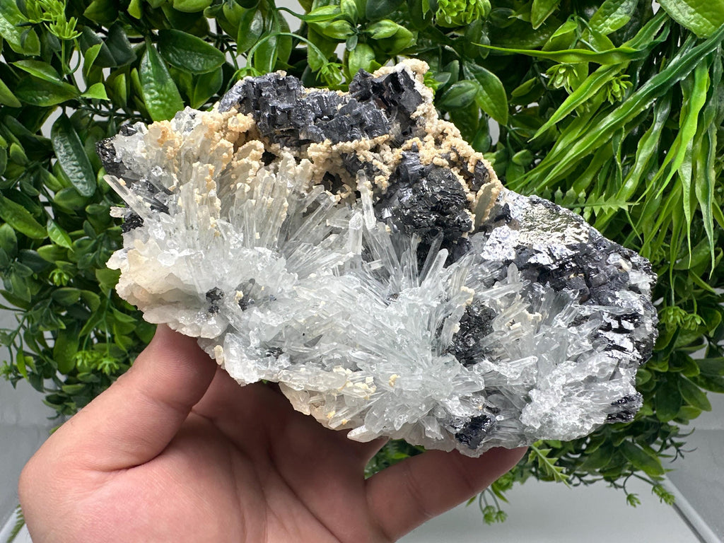 Galena Spinel Law on Quartz with Siderite, Krushev dol Mine, Bulgaria
