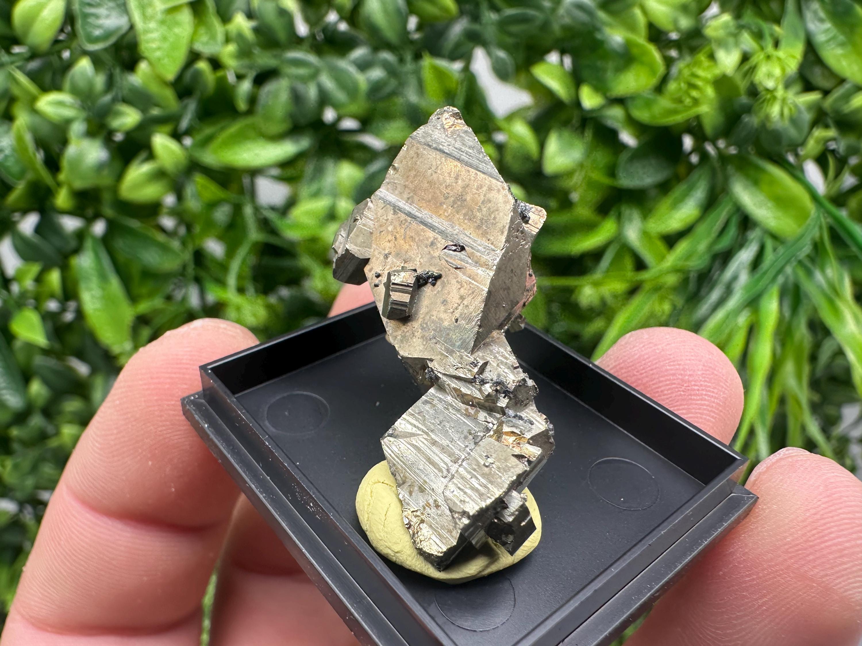 Rare Crystallized Pyrite Cluster - Borieva Mine, Bulgaria