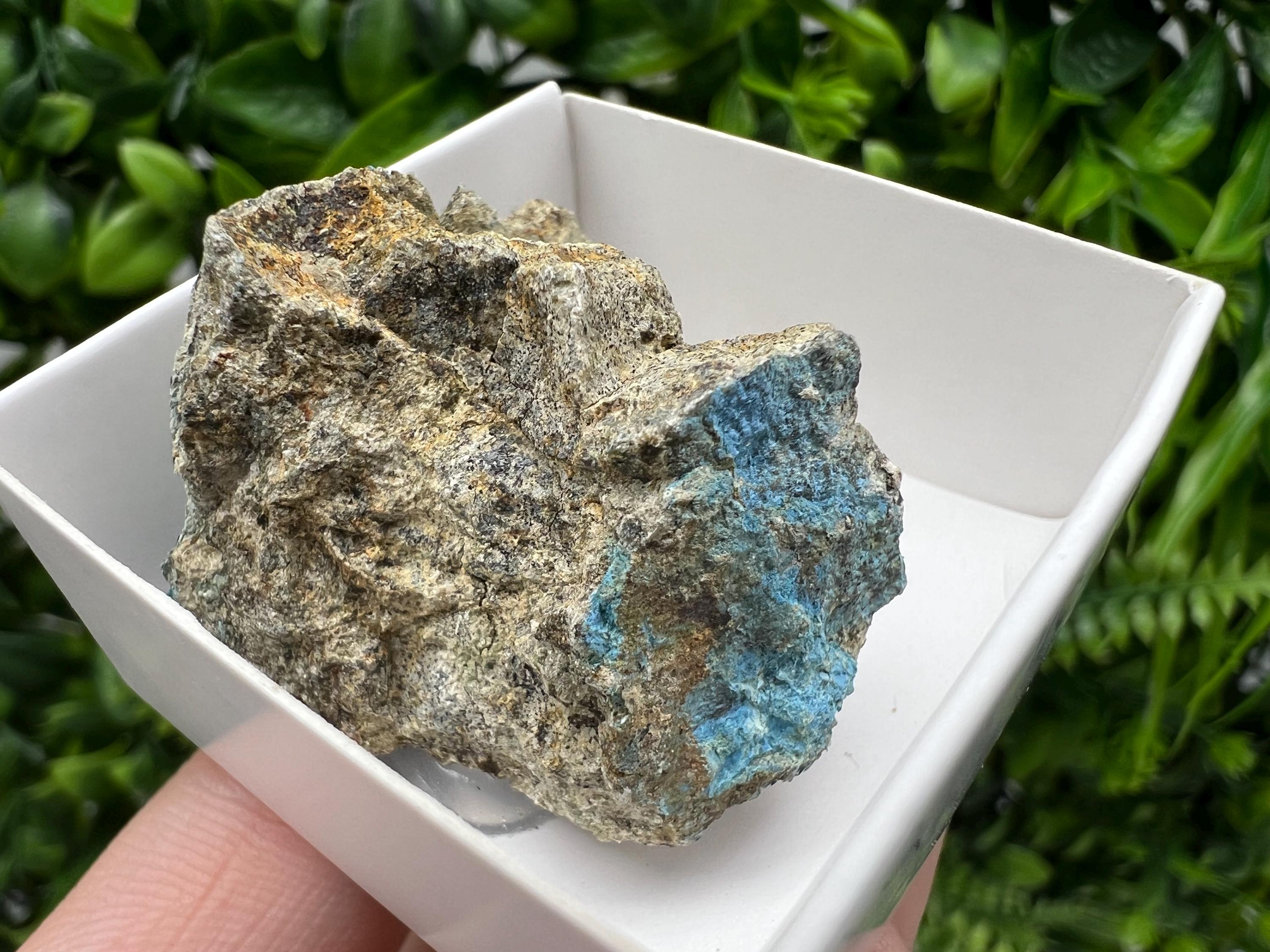 Rare Raw Aerinite Mineral Specimen: Lleida, Spain Crystal