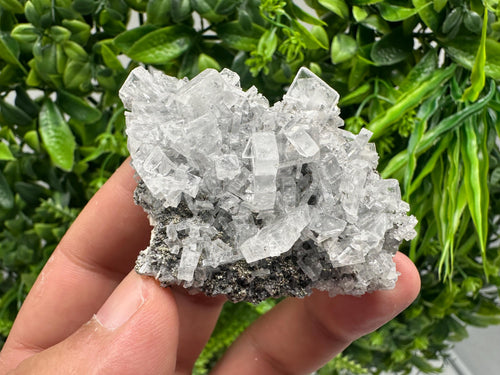 Barite Marcasite on Chalcedony, Androvo Mine Bulgaria, Rare Crystal Cluster