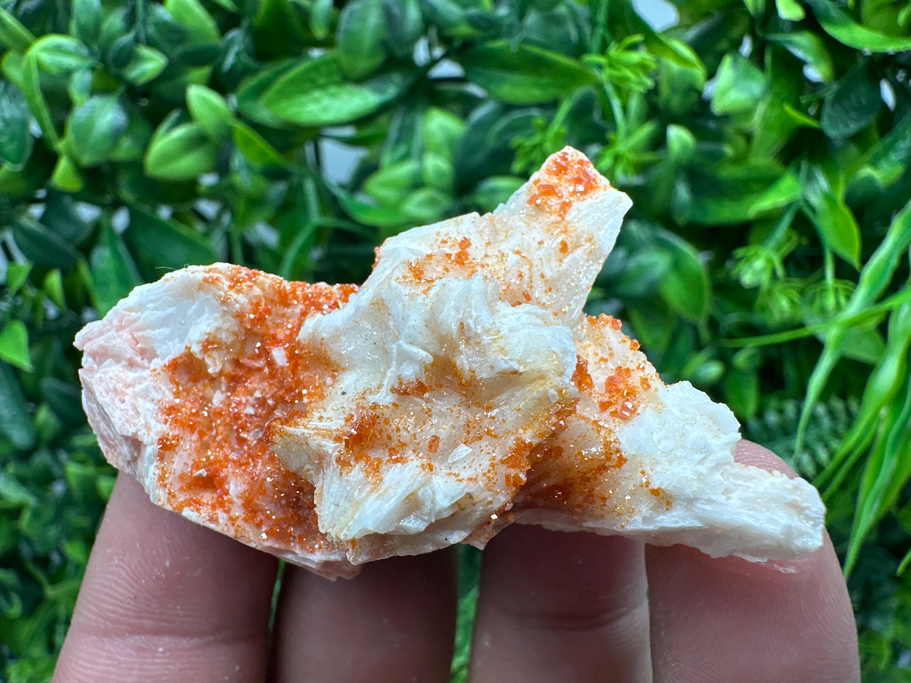 Red Vanadinite on Barite, Moroccan Crystal Cluster