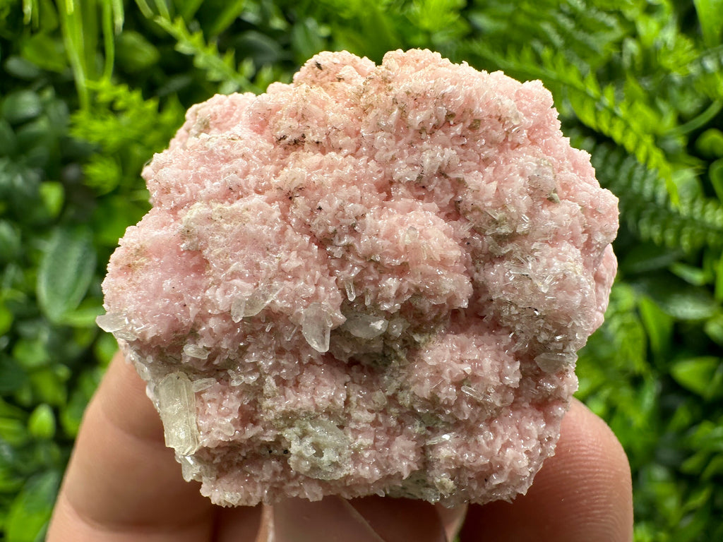Pink Rhodochrosite Crystal: Starnica Mine, Bulgaria - Home Decor Stone