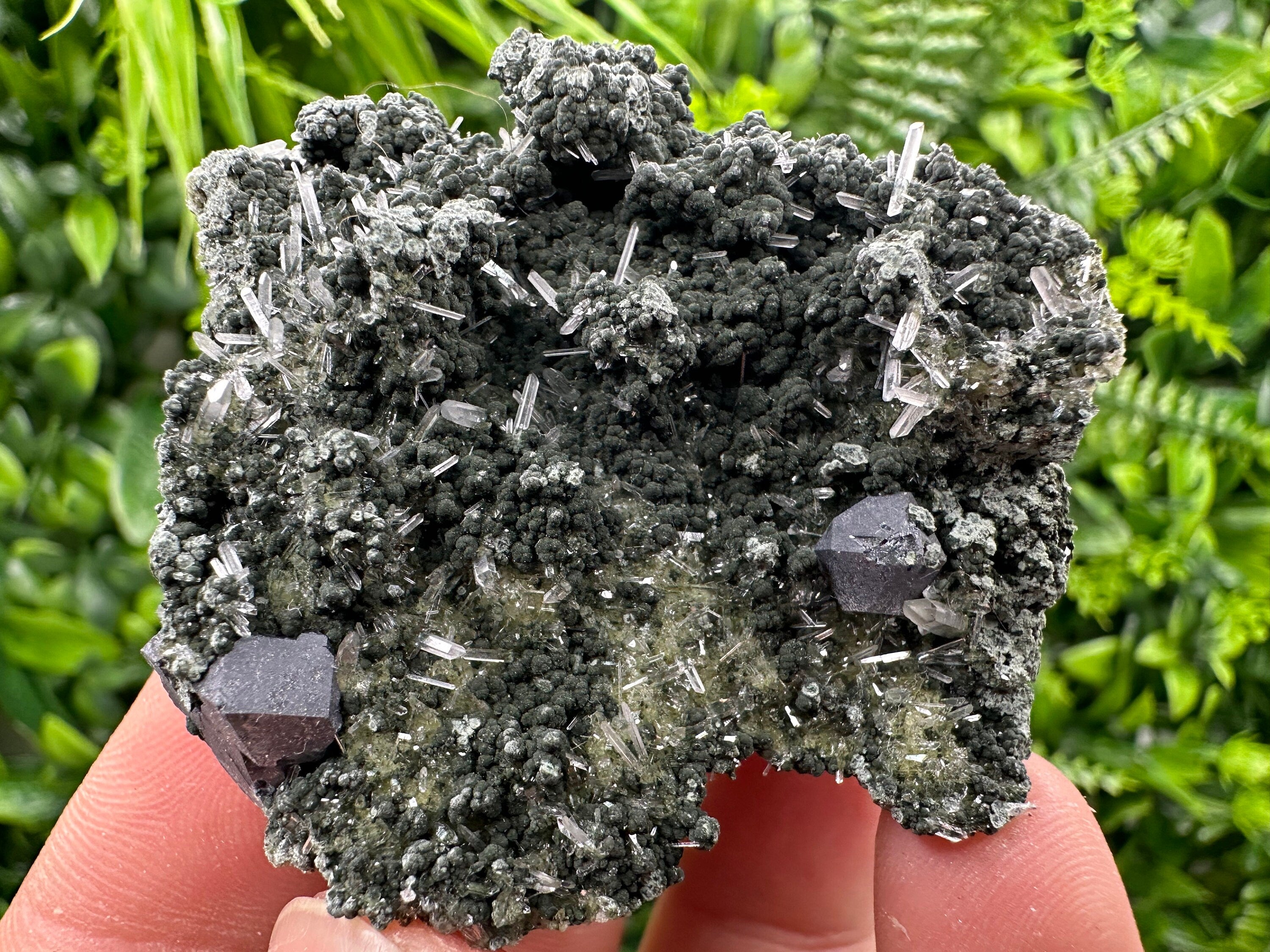 Galena on Green Quartz Crystal, Borieva Mine, Bulgaria