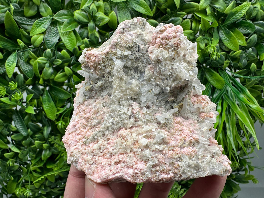 Rhodochrosite on Quartz, Starnica Mine, Bulgaria