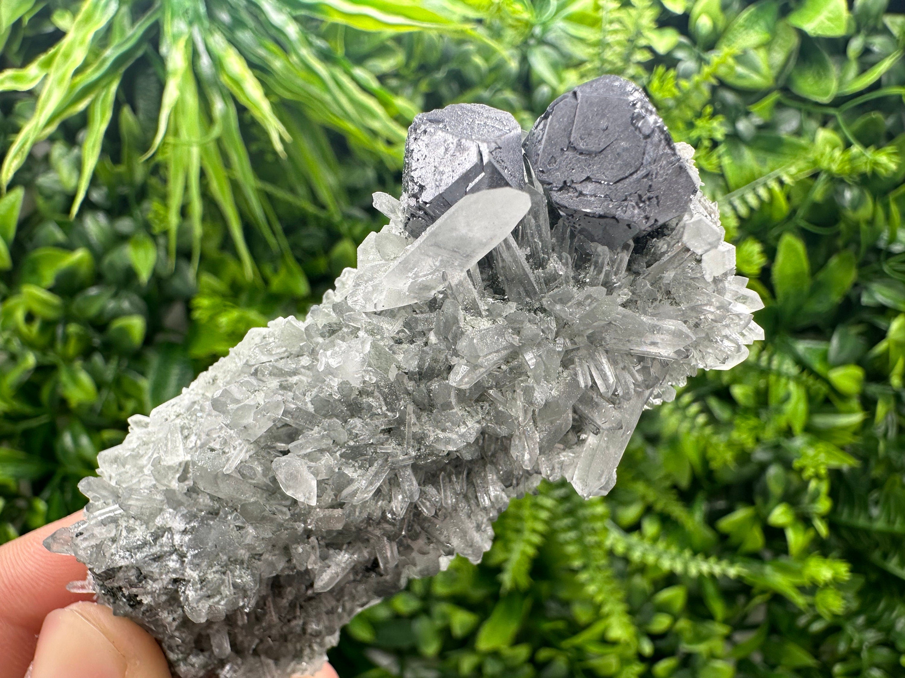 Shiny Galena on Green Quartz with Chlorite Inclusions - Borieva Mine