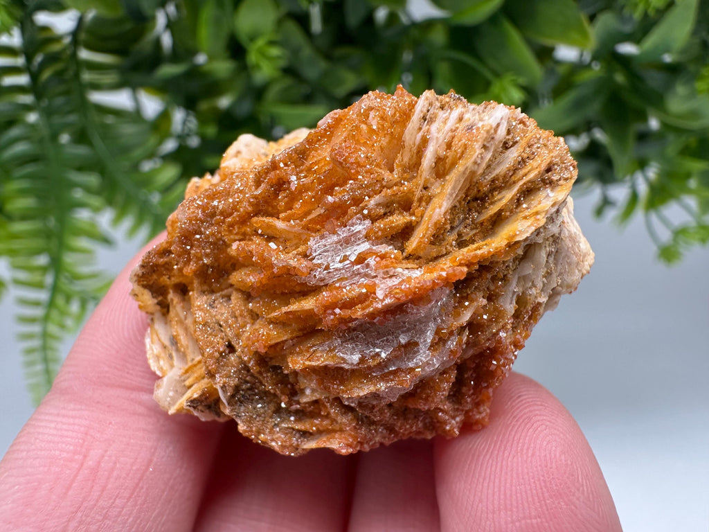 Red Vanadinite on Barite from Marocco,crystal minerals Speciment cluster Vanadinite crystal Vanadinite Geology Vanadinite cluster minerals