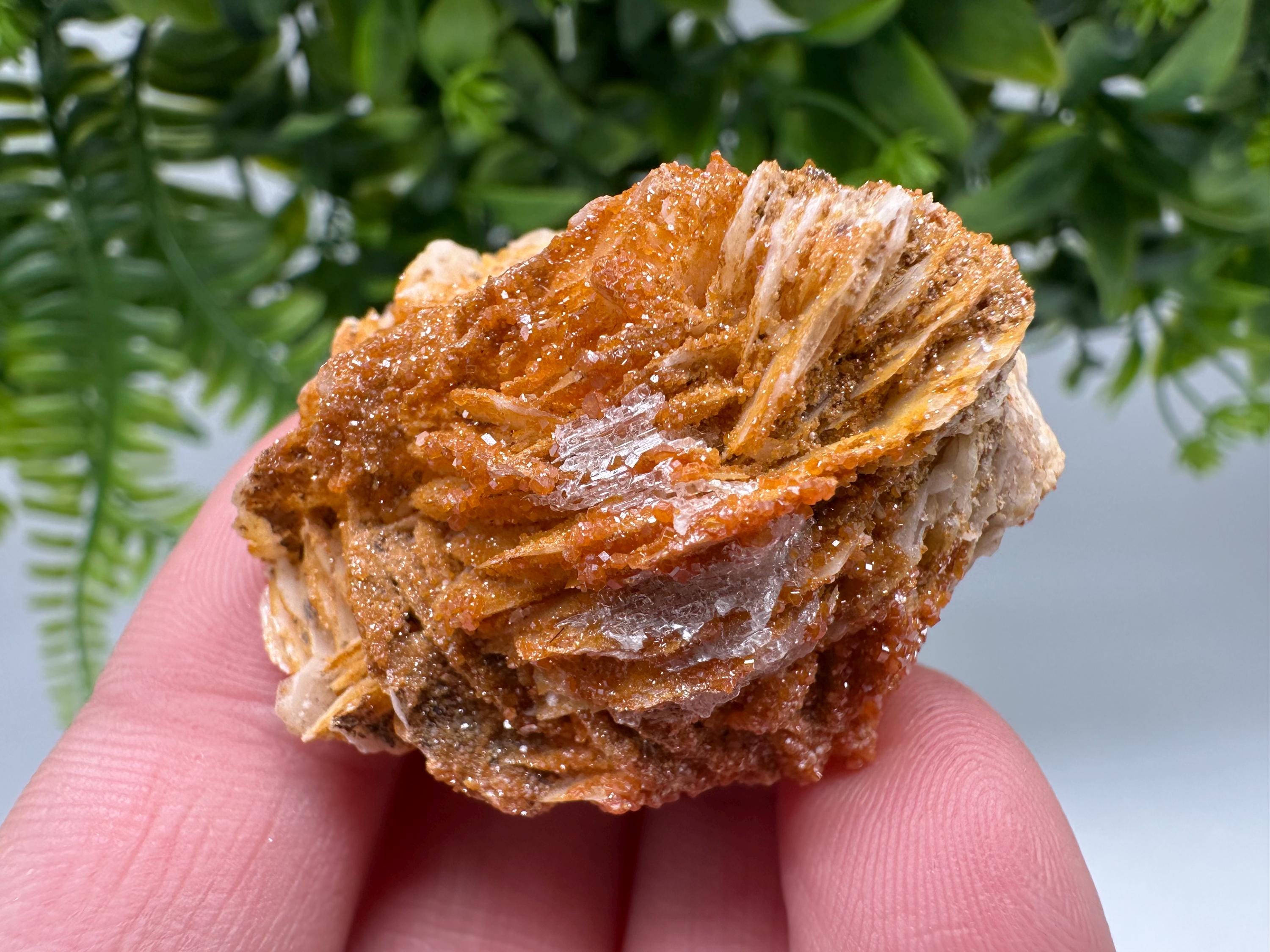 Red Vanadinite on Barite from Marocco,crystal minerals Speciment cluster Vanadinite crystal Vanadinite Geology Vanadinite cluster minerals