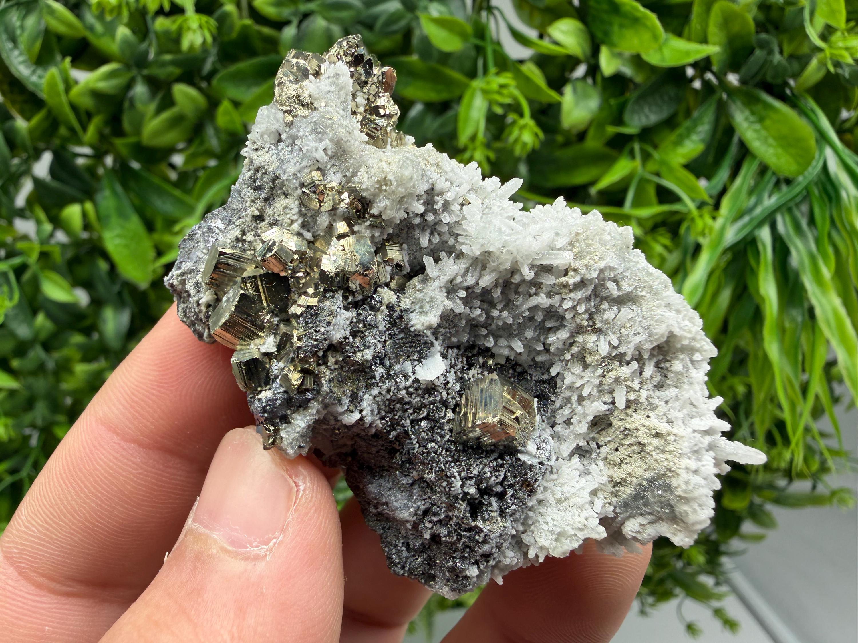Pyrite Sphalerite Quartz  Mineral Specimen, Krushev dol Mine