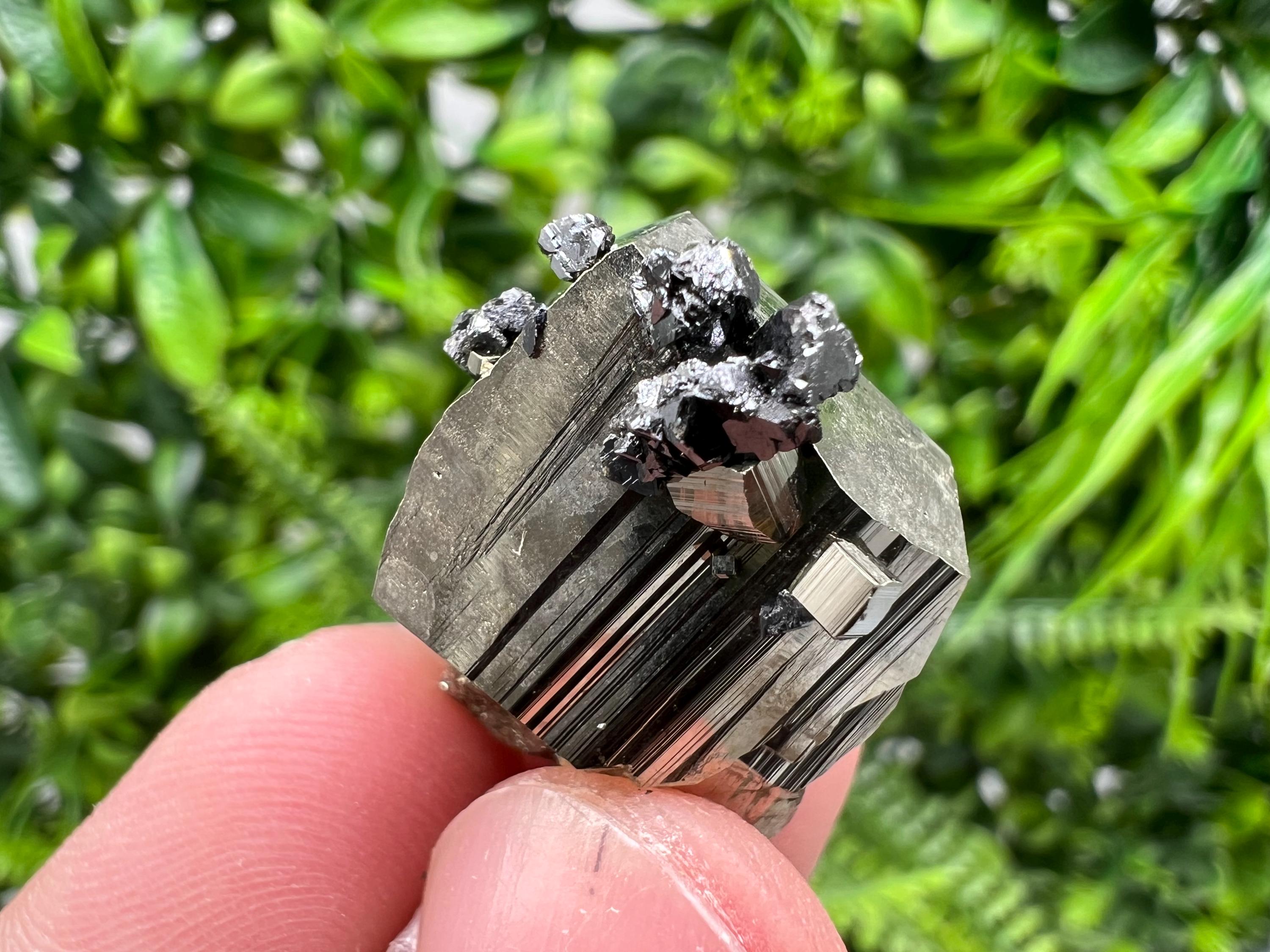 Rare Borieva Mine Pyrite Cluster, Rainbow Crystallization Specimen
