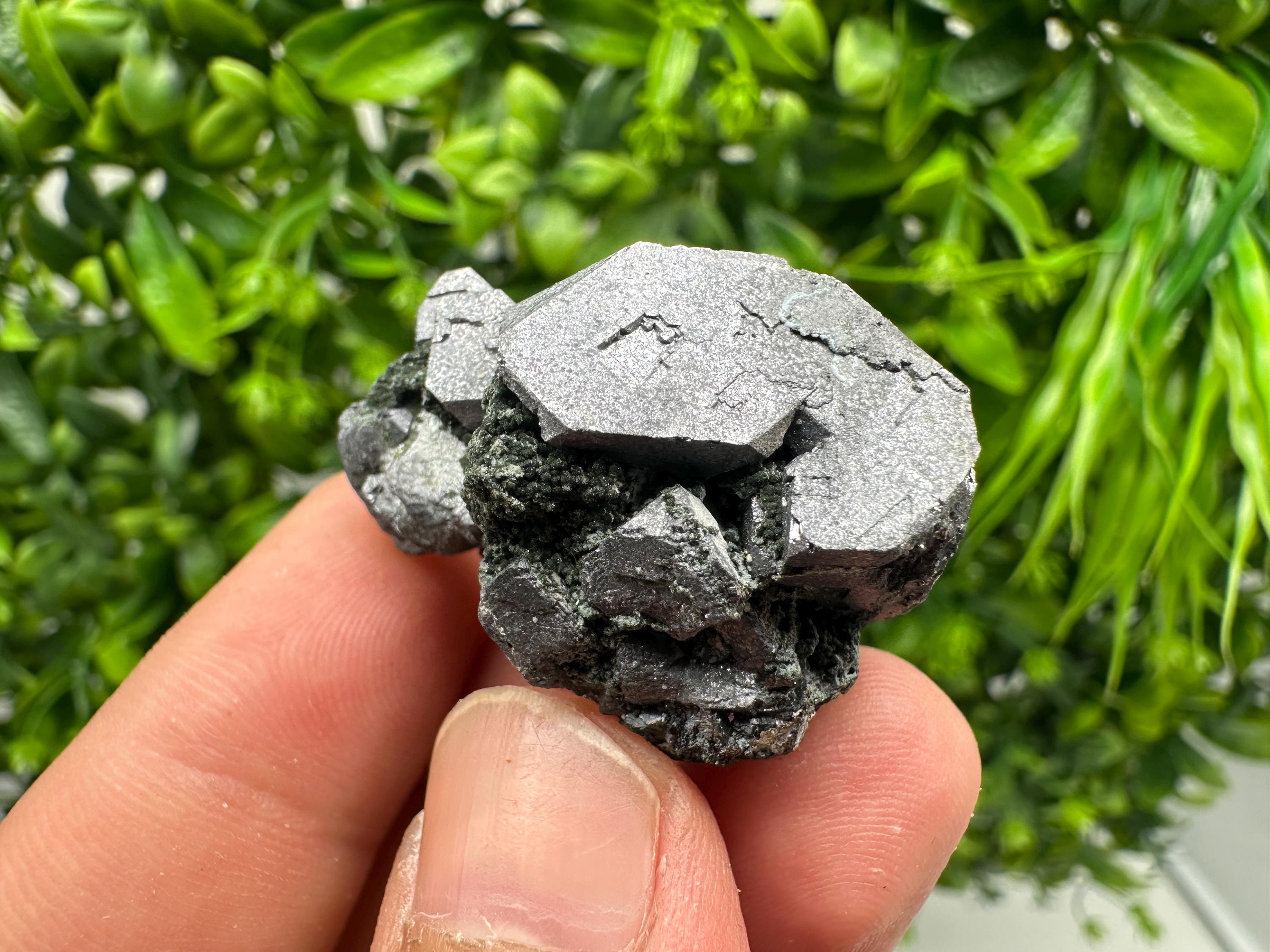 Shiny Galena Cluster - Borieva Mine, Bulgaria