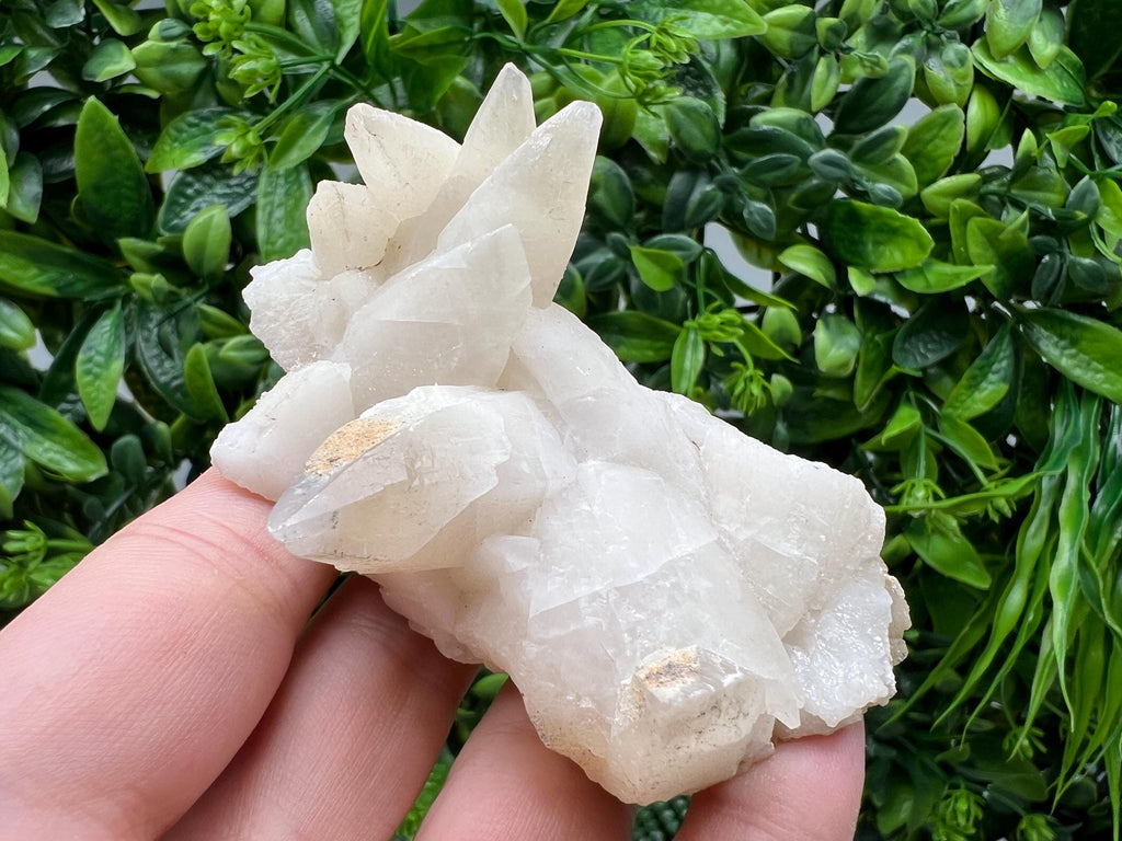 Calcite on Green Quartz: Laki Bulgaria Healing Crystal
