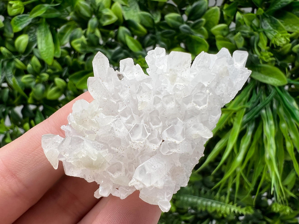 Transparent Quartz on Chlorite Matrix, Borieva Mine, Bulgaria