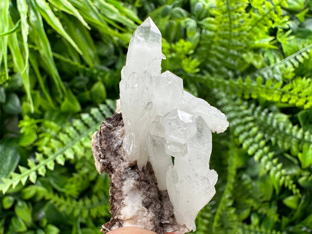 Quartz with Chlorite, Rhodochrosite and Siderite Mineral Specimen