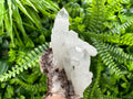 Quartz with Chlorite, Rhodochrosite and Siderite Mineral Specimen