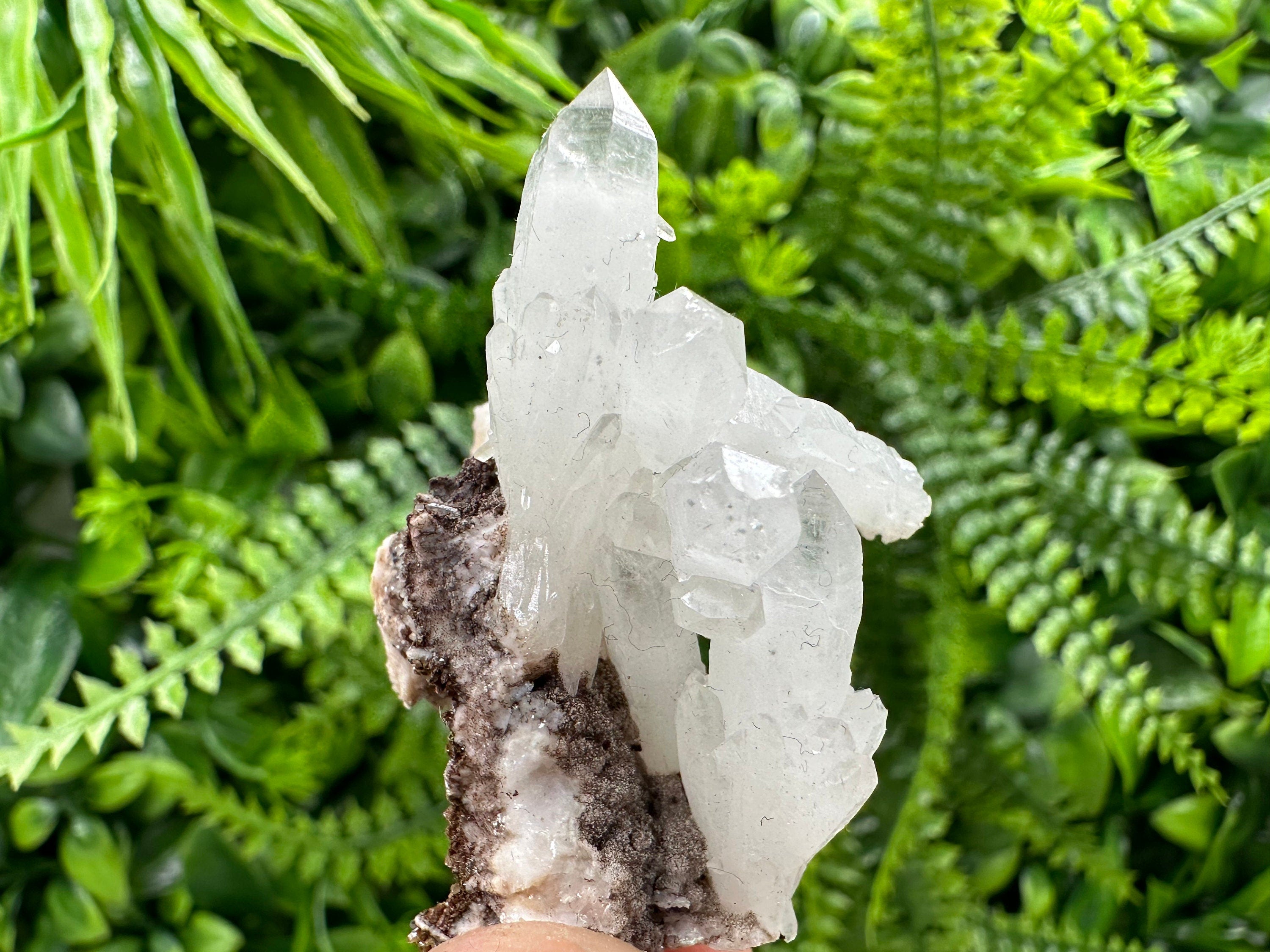 Quartz with Chlorite, Rhodochrosite and Siderite Mineral Specimen