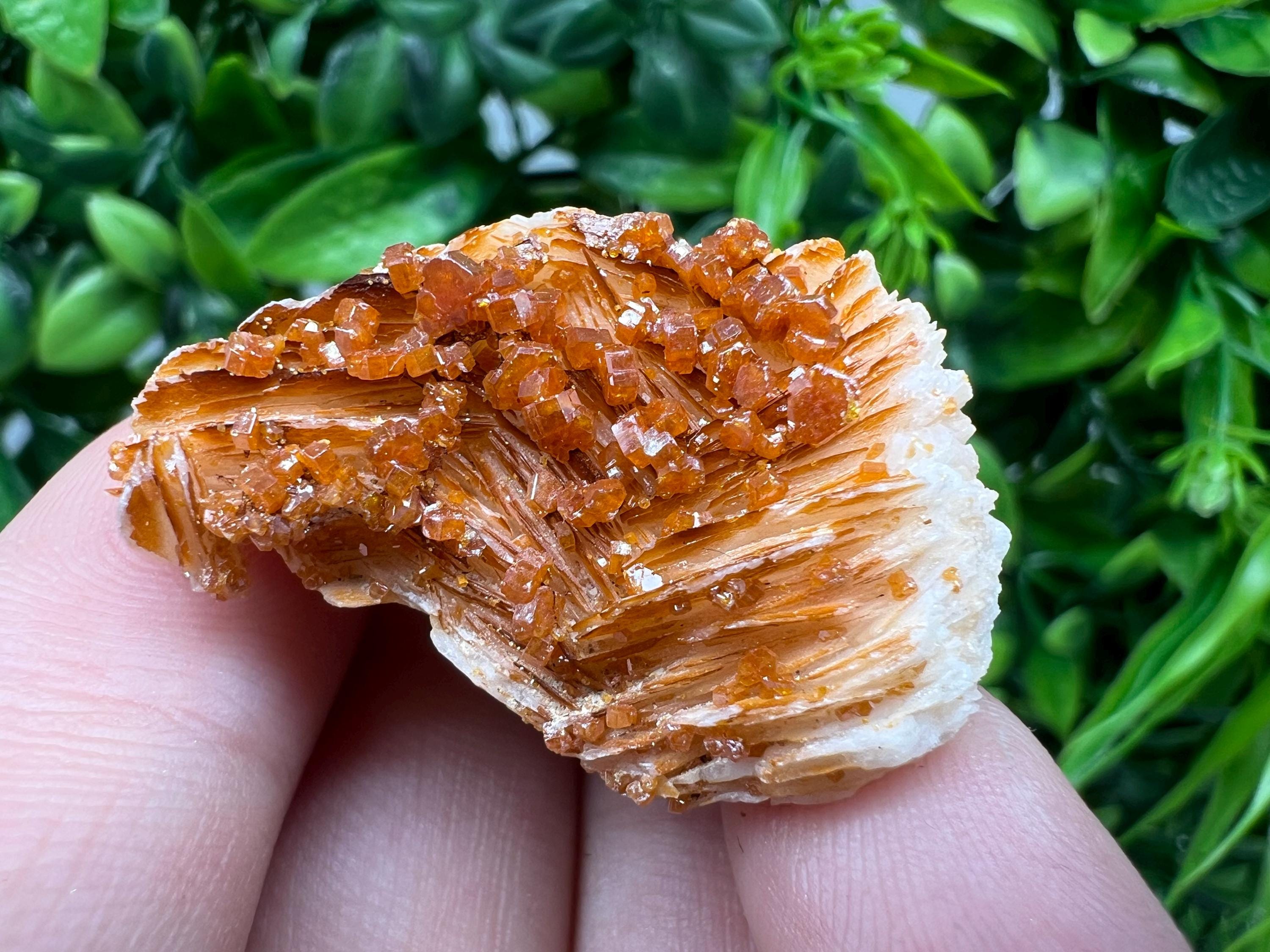 Red Vanadinite on Barite from Marocco,crystal minerals Speciment cluster Vanadinite crystal Vanadinite Geology Vanadinite cluster minerals