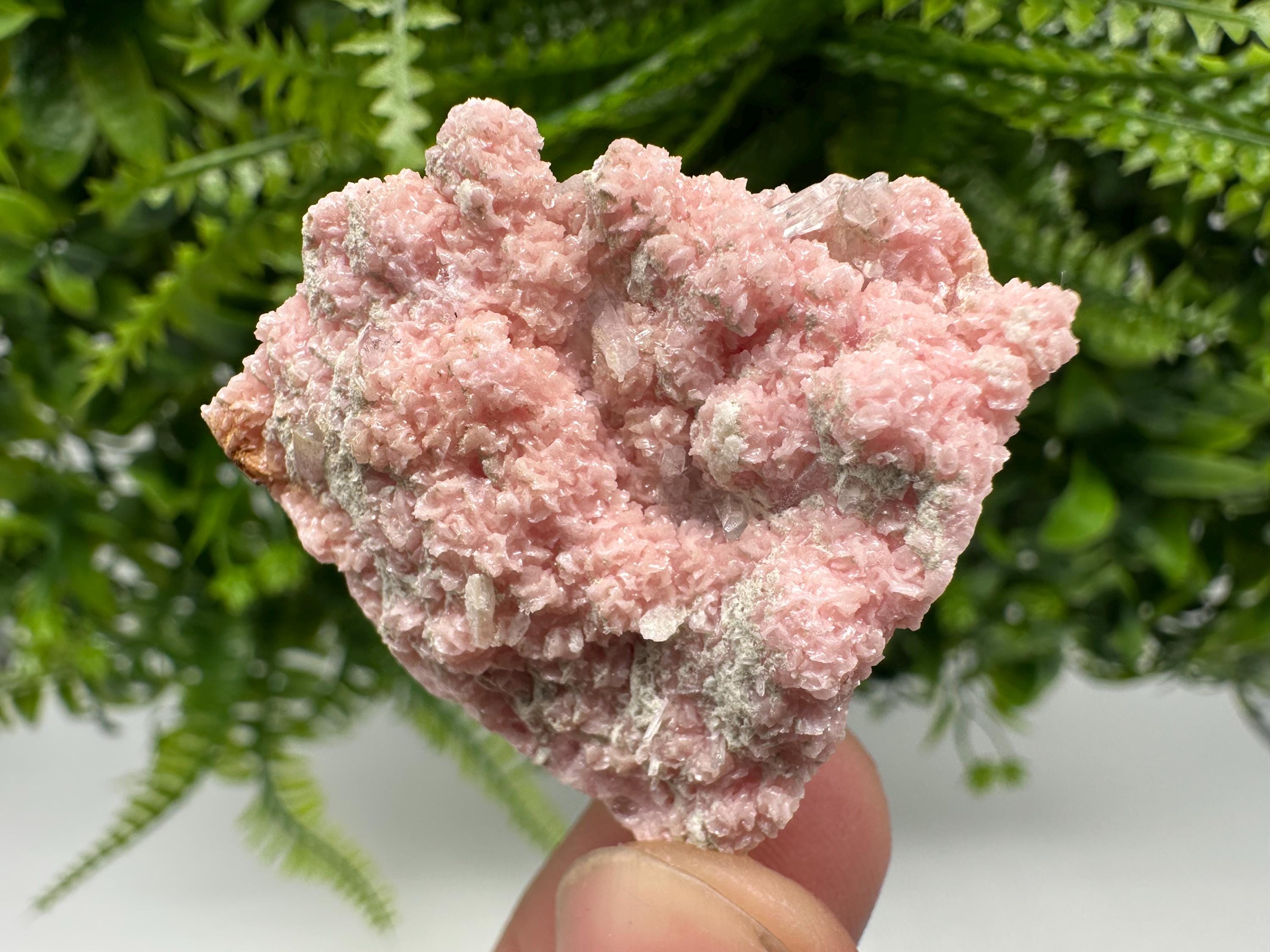 Rhodochrosite on Quartz, Starnica Mine, Bulgaria