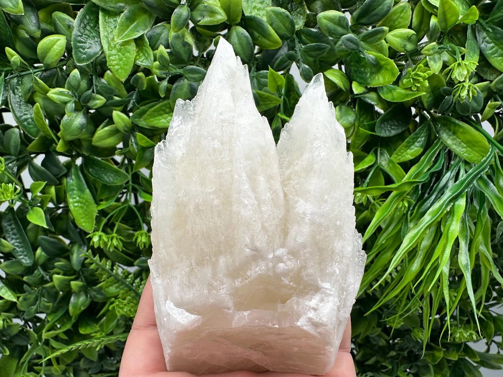 Calcite on Green Quartz: Djurcovo Mine, Bulgaria