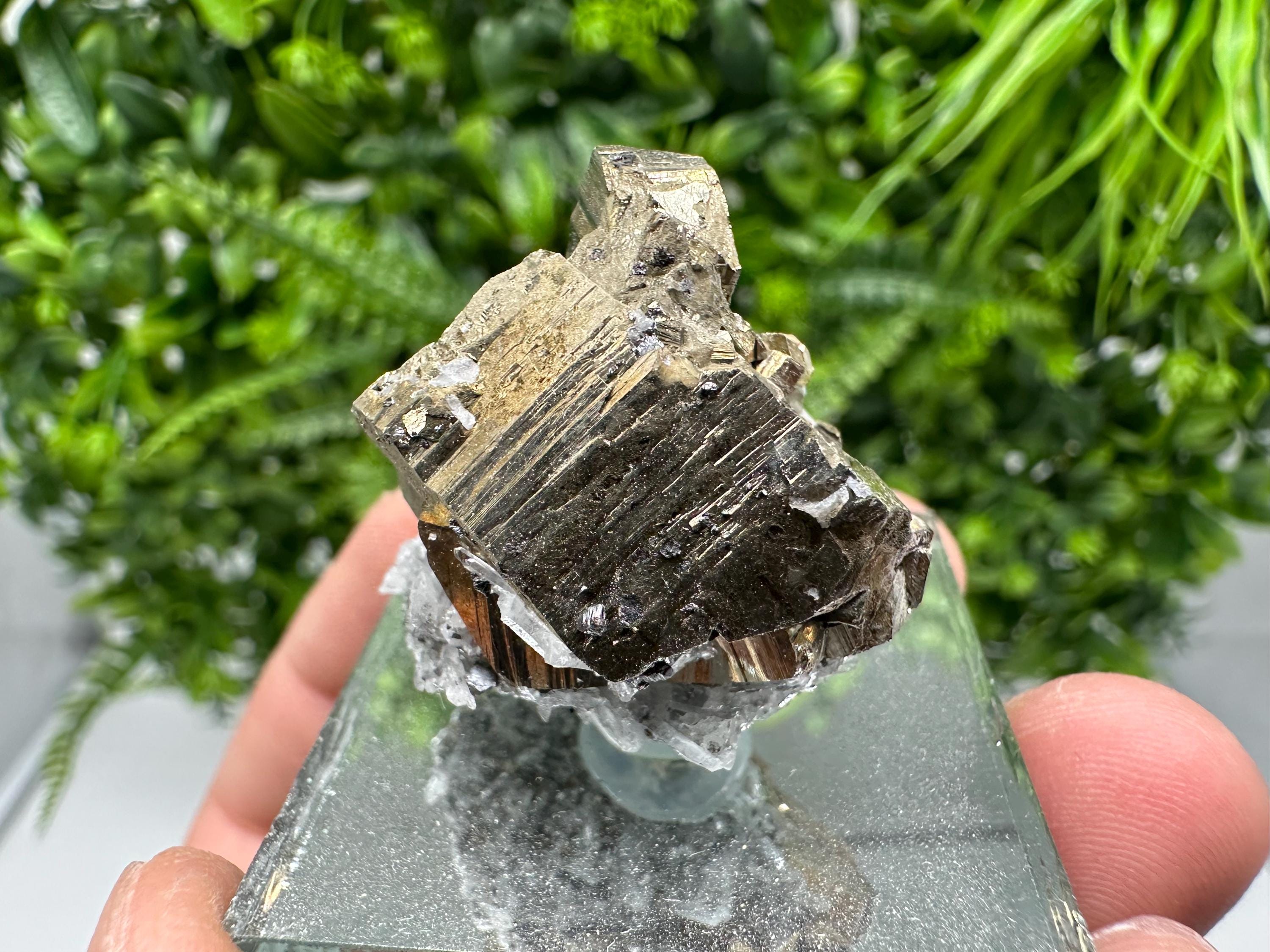 Rainbow Pyrite Hematite Cluster: Borieva Mine, Bulgaria