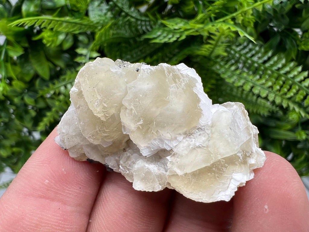Calcite on Galena Specimen: Borieva Mine, Bulgaria