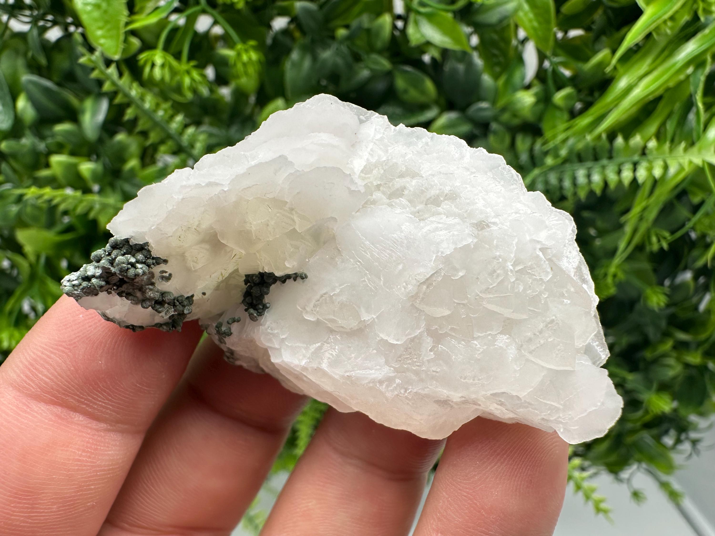 Calcite on Green Quartz: Djurcovo Mine, Bulgaria Crystal