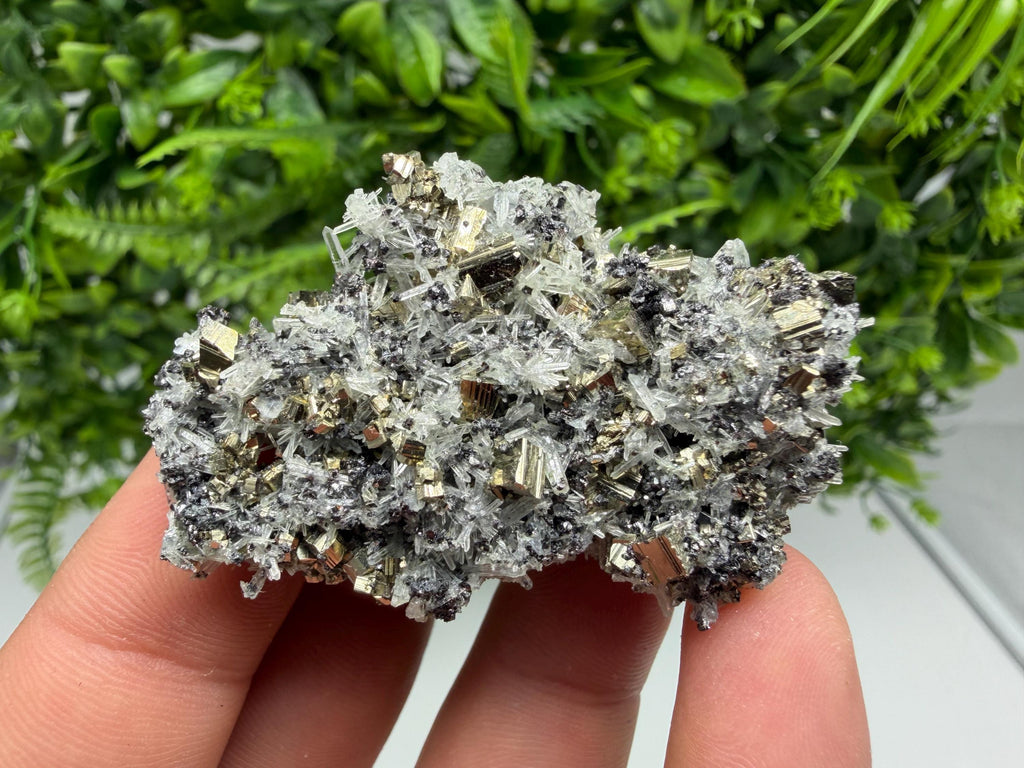 Pyrite on Green Quartz Mineral Specimen, Borieva Mine, Bulgaria
