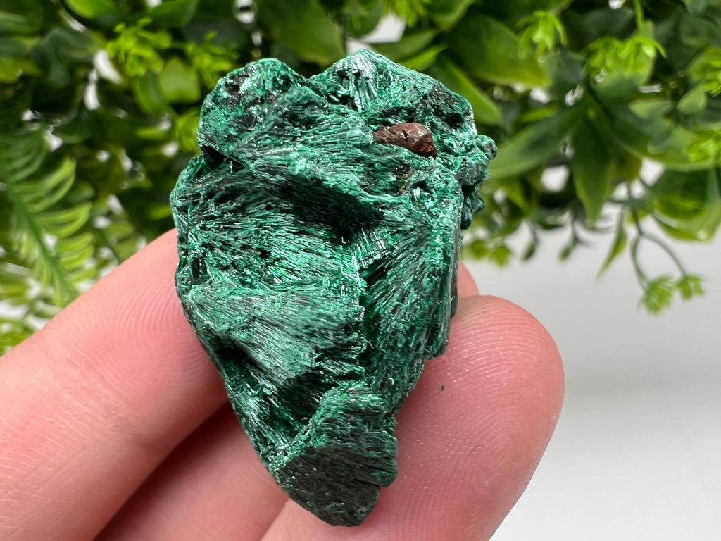 Malachite Crystal from Congo,Minerals,Crystals from Congo,Green Malachite, Malachite,Natural Malachite,Malachite Stone,Chakra, Specimens