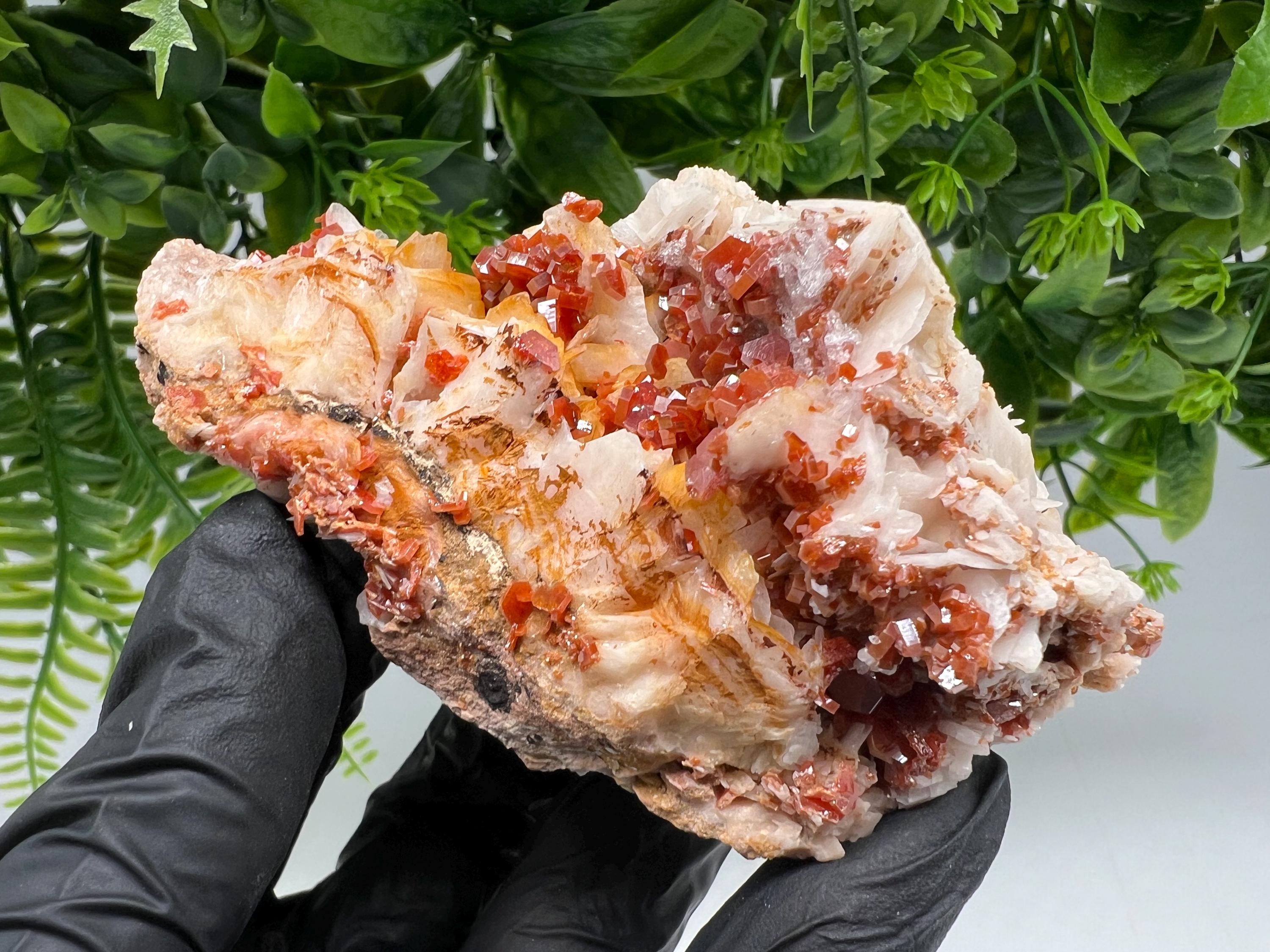 Red Vanadinite on Barite from Marocco,crystal minerals Speciment cluster Vanadinite crystal Vanadinite Geology Vanadinite cluster minerals