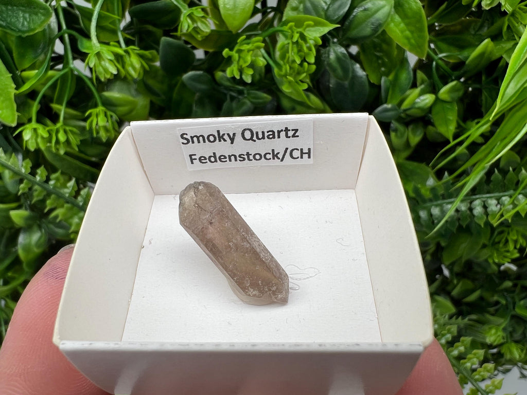 Rare Fedenstock Smoky Quartz Point, Swiss Mineral Specimen (25 MM)