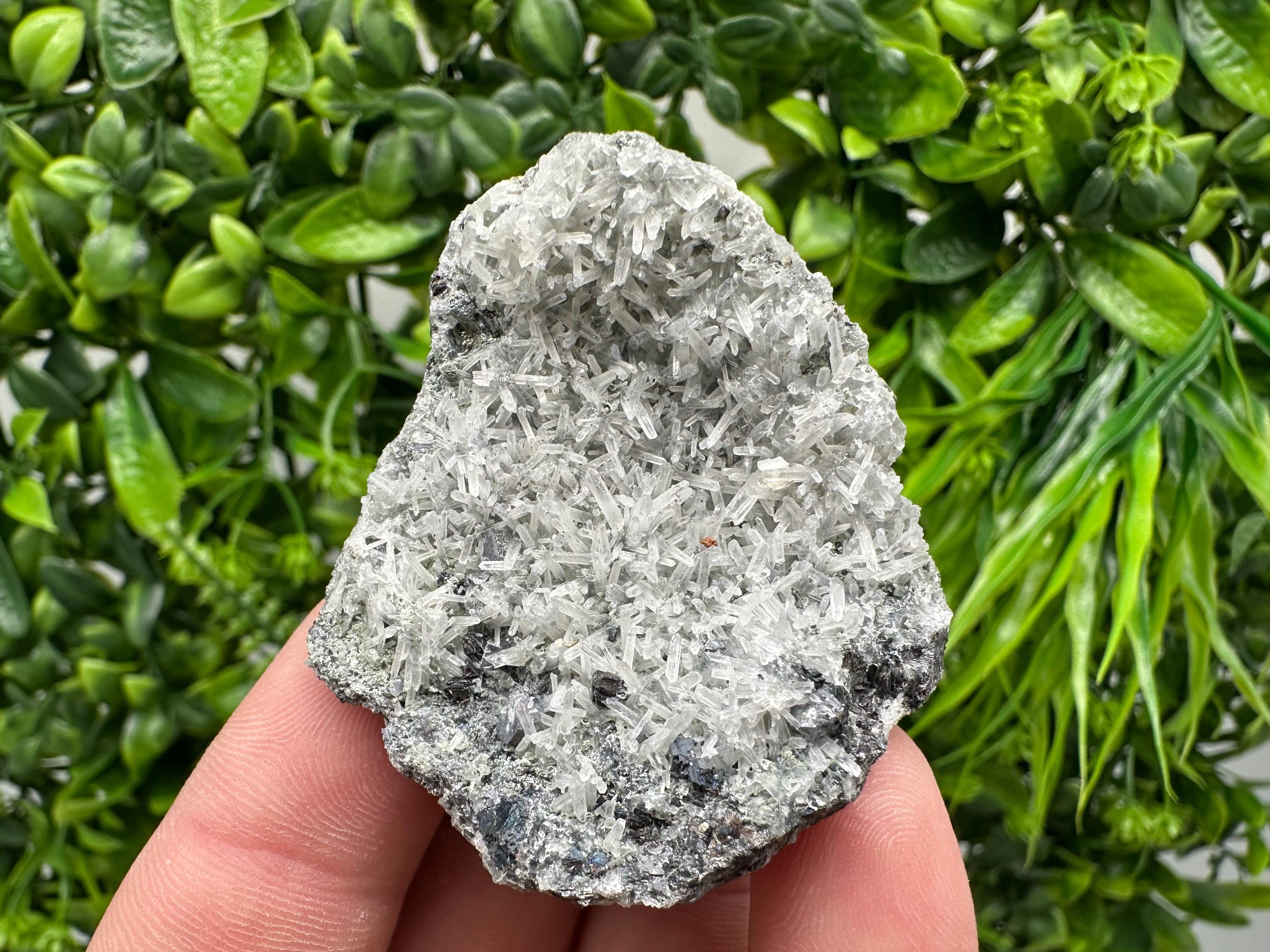 Pyrite on Green Quartz Specimen: Borieva Mine Mineral Decor